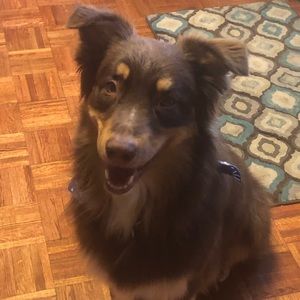 Meet your Posher, Elisa